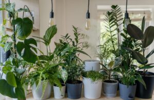 Architouch | 7 Ways To Make Your Office More Environmentally Friendly